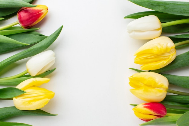 Top view tulips flowers