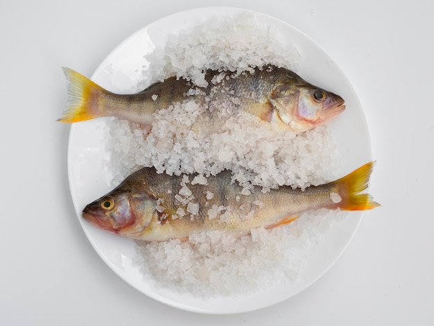 Free Photo top view two fish on plate with mineral salt