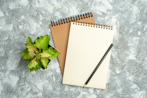 Free photo top view of two kraft spiral notebook with pen and flower pot on ice background