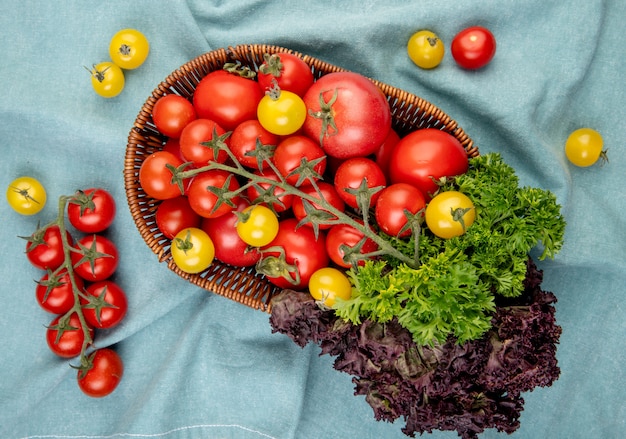 Top view of vegetables as tomatoes coriander basil in basket with tomatoes on blue cloth surface