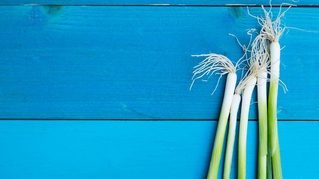 Free photo top view vegetables on blue background