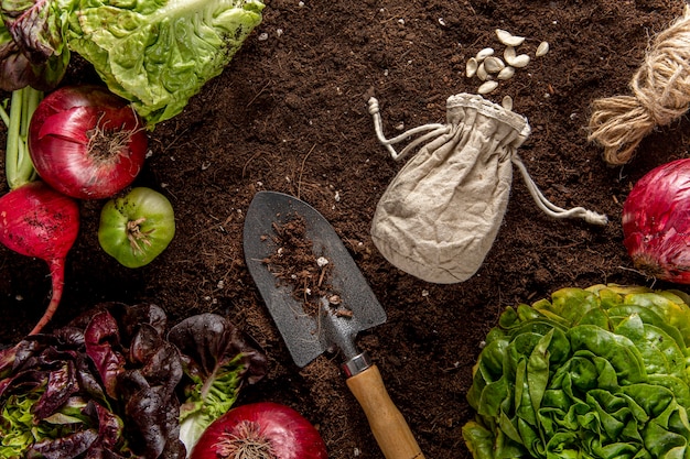 Top view of veggies with salad and tool