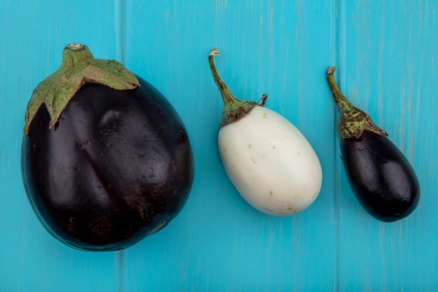 Top view white and black eggplant on a turquoise background