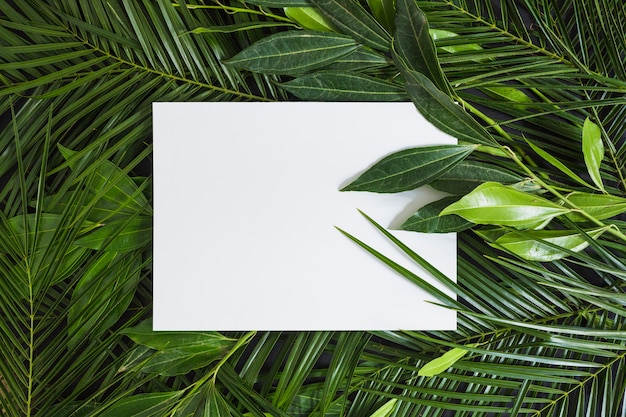 Free photo top view of white blank page on green leaves