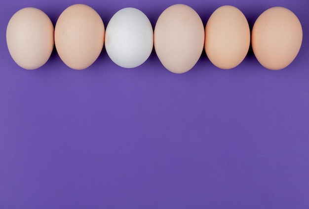 Free photo top view of white and cream colored eggs arranged in a line on a violet background with copy space