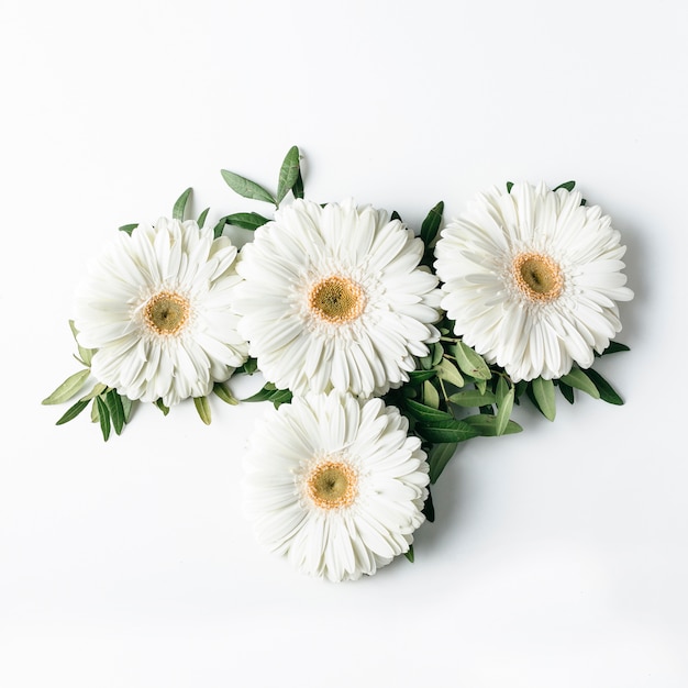 Free photo top view of white daisies