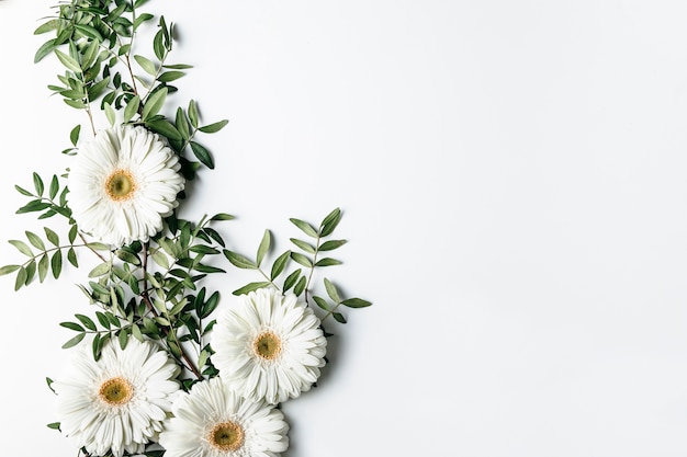 Top view of white daisies