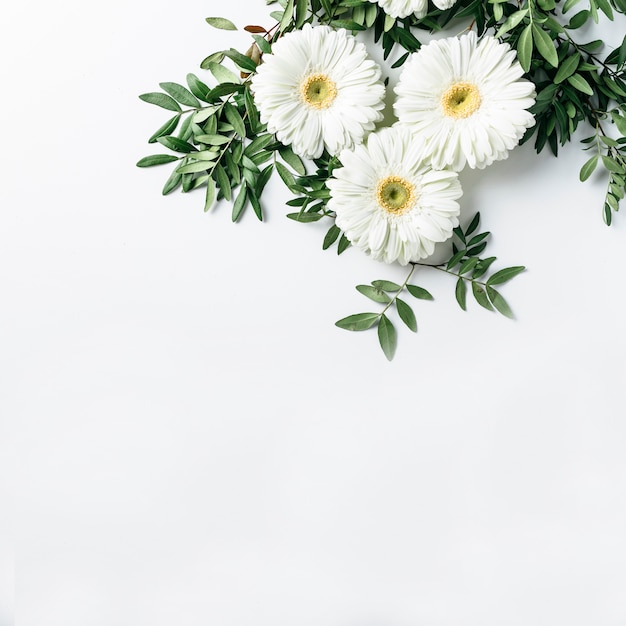 Top view of white daisies