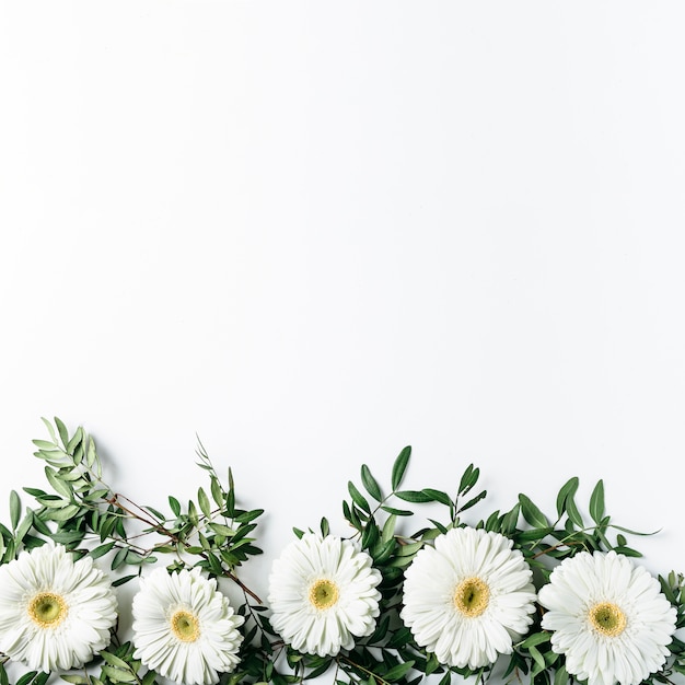 Top view of white daisies