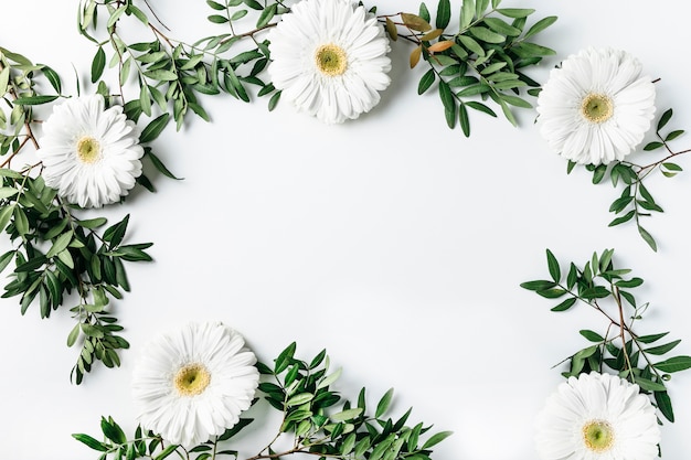 Top view of white daisies