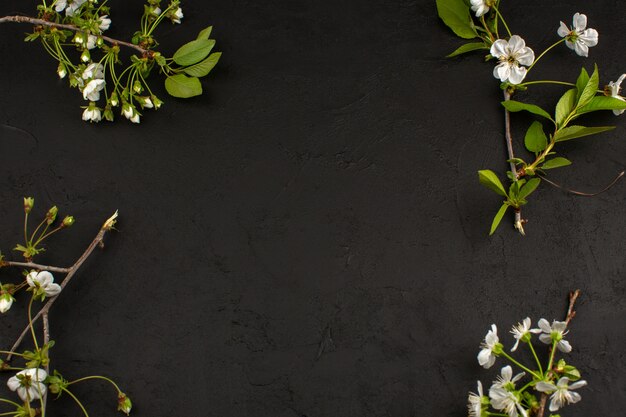 top view white flowers on the dark desk