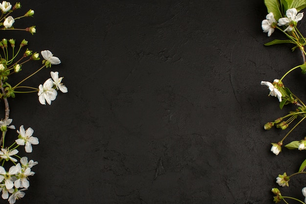 top view white flowers on the dark floor