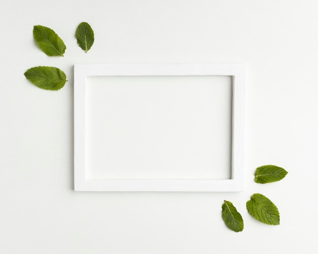 Top view white frame with leaves