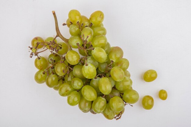 Top view of white grape on white background