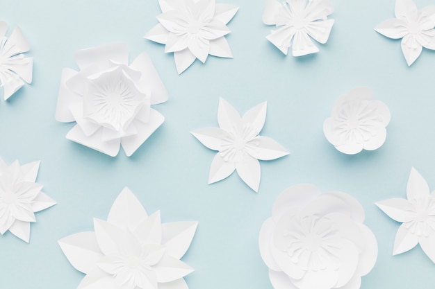 Free photo top view white paper flowers on table