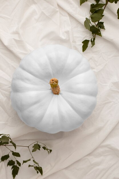 Top view white pumpkin and leaves