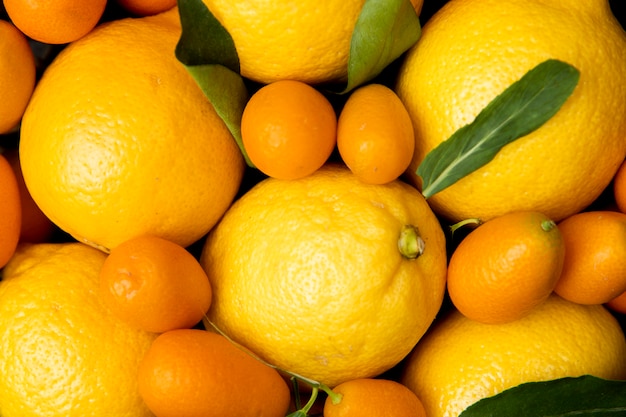 Top view of whole lemons and kumquats