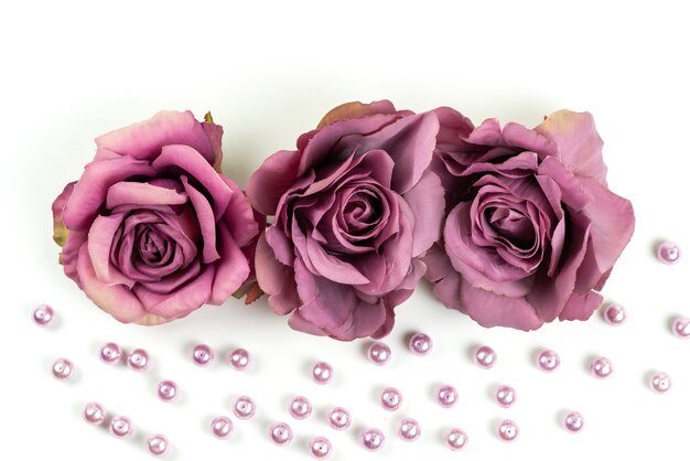 A top view wilted roses purple colored on white desk, flower plant color photo