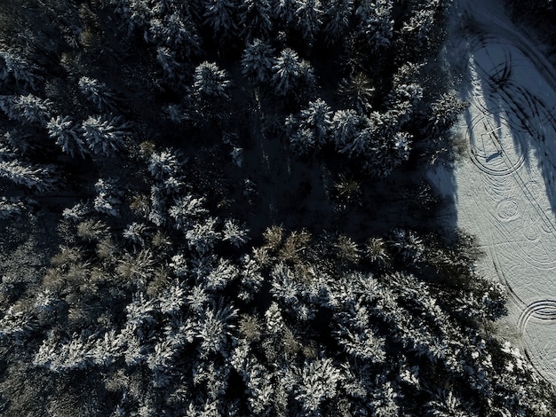 Free photo top view of winter forest