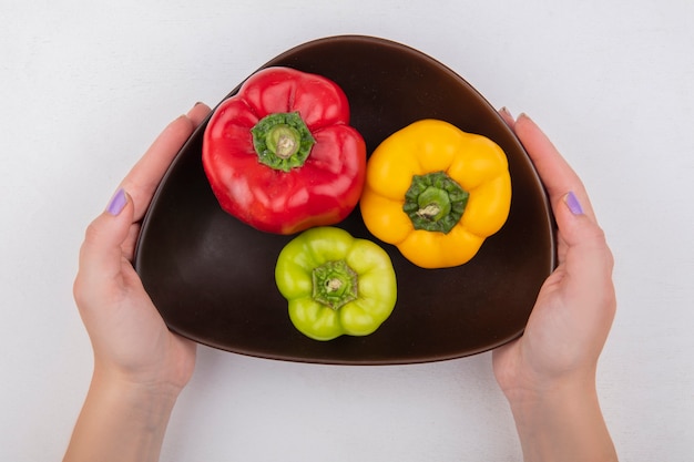 Top view  woman holding colored bell peppers in a bowl on white background