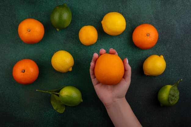 Top view  woman holding orange with lemons and limes on green background