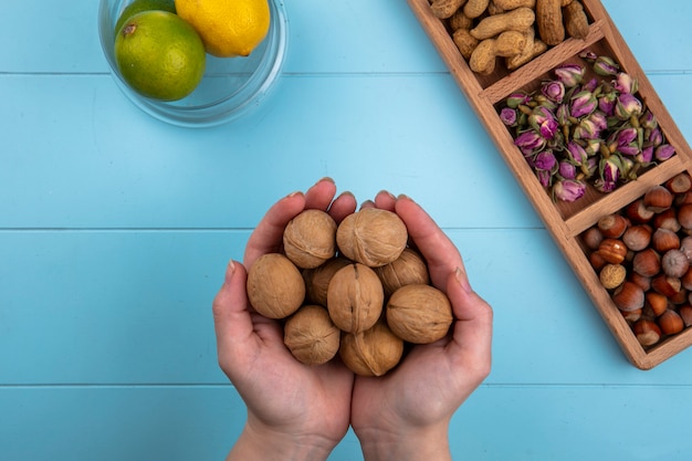 Free photo top view woman holds in her hands walnuts with hazelnuts and peanuts with lemon and lime on a blue table