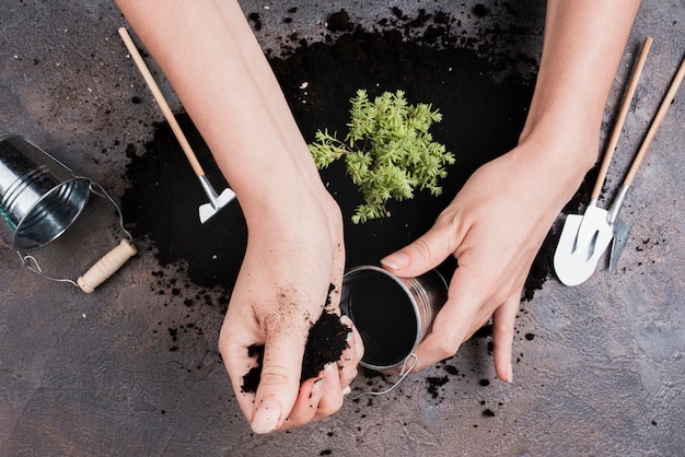 Free Photo top view of woman putting soil in bucket