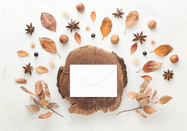 Top view of wood with autumn leaves and copy space