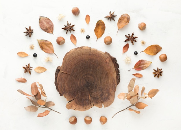 Top view of wood with autumn leaves