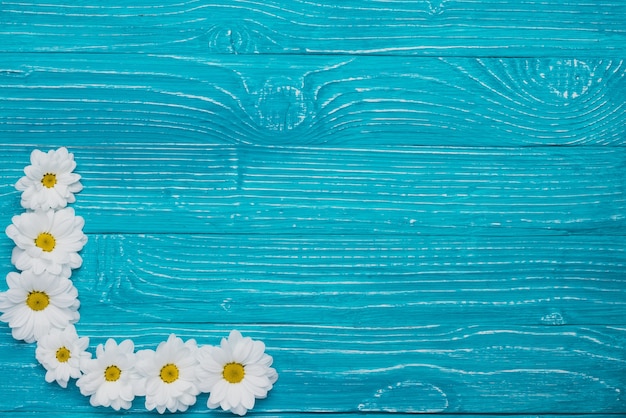 Top view of wooden background with several daisies