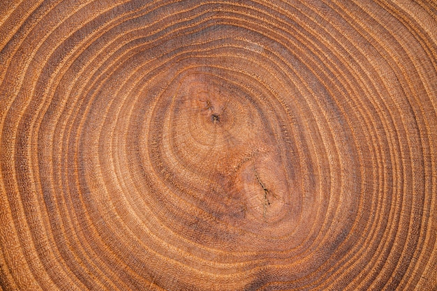 Free photo top view wooden background