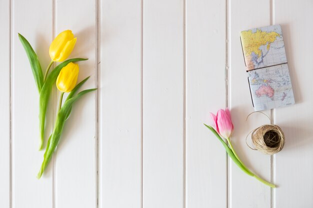 Top view of wooden surface with tulips, world map and rope