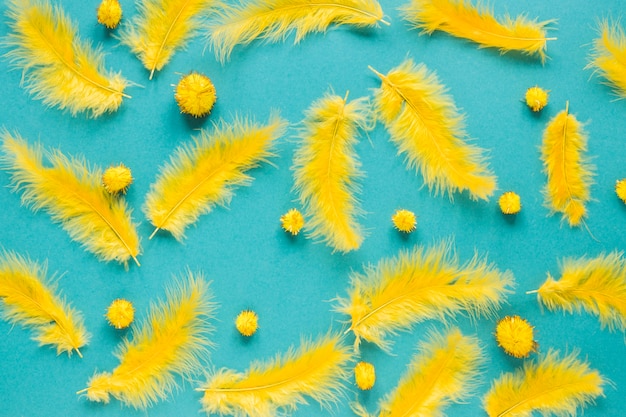 Free Photo top view of yellow feather and pom-poms for carnival