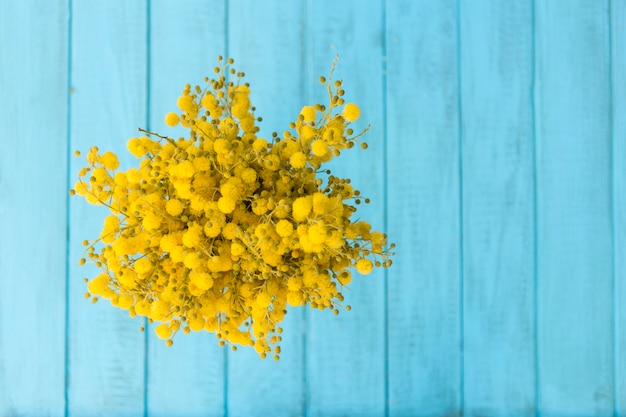 Top view of yellow flowers with blue background