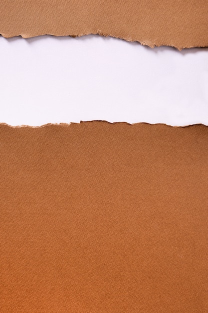 Free Photo torn brown paper strip header background vertical