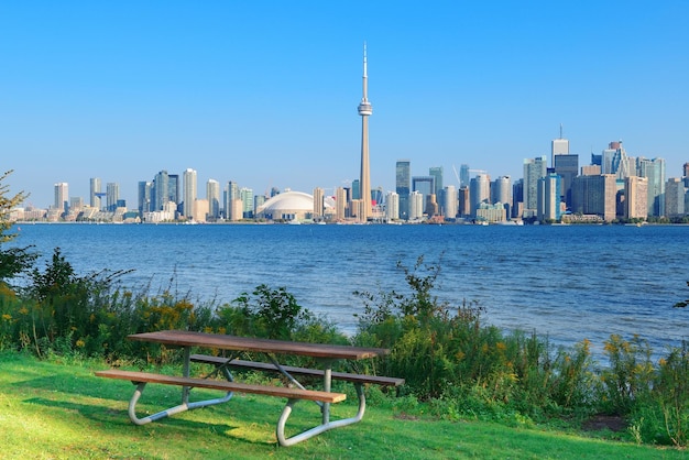 Free photo toronto skyline from park