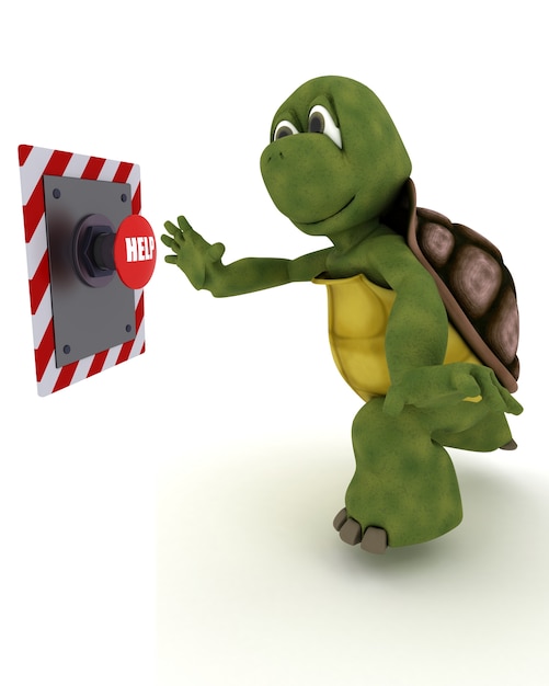 Free Photo tortoise pushing a red button