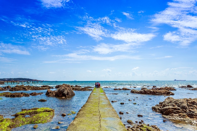 tourism red vacation cross wave seaweed