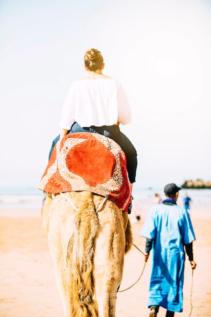 Free Photo tourist on camel