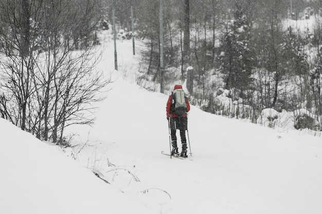 Tourist skiing in forest