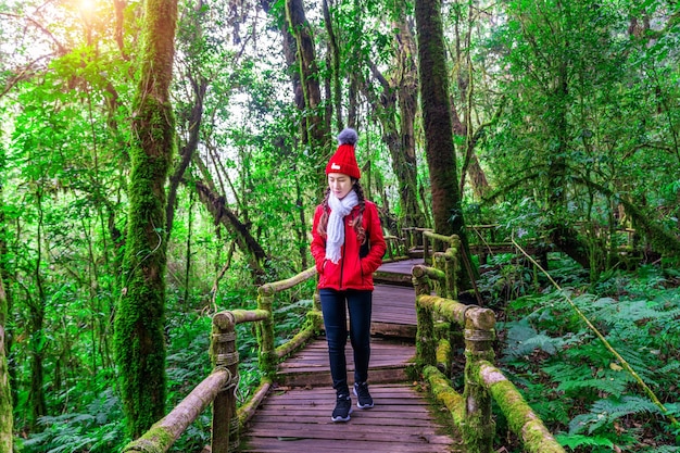 Tourist walking in Ang ka nature trail at Doi Inthanon national park , Chiang mai , Thailand.