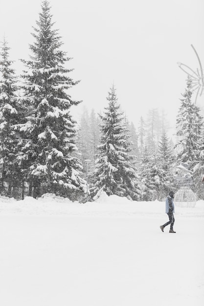 Free Photo tourist walking on snowy woods