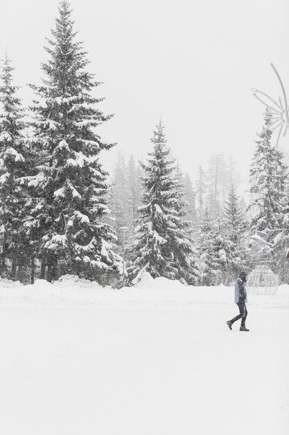 Tourist walking on snowy woods