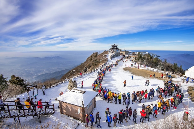 Free photo tourists taking photos of the beautiful scenery and skiing around deogyusan,