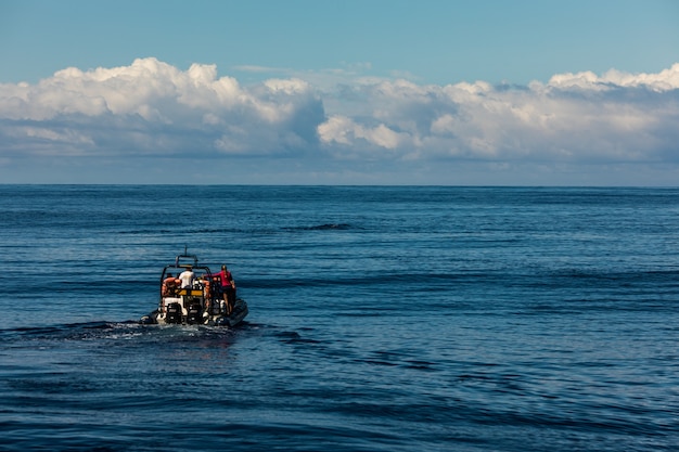 Tourists on a whale watching boat