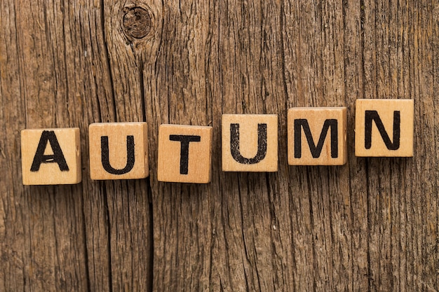 Free photo toy bricks on the table with word autumn