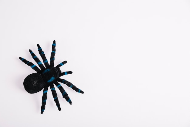 Free Photo toy tarantula on white background