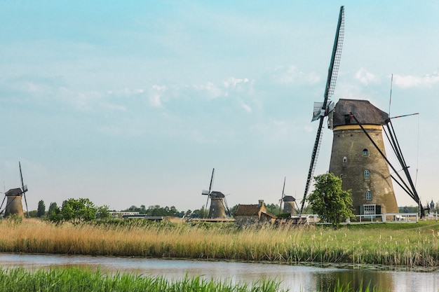 Traditional Dutch windmills with green grass in the foreground, The Netherlands