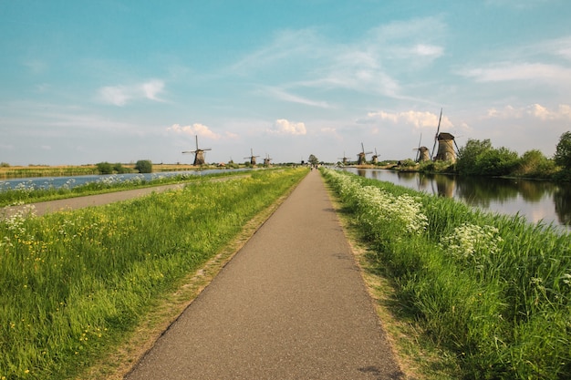 Free photo traditional dutch windmills with green grass in the foreground