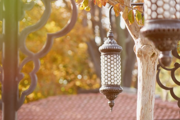 Free photo traditional islamic ramadan lantern and trees in park at sultan ahmet square near blue mosque in istanbul turkey